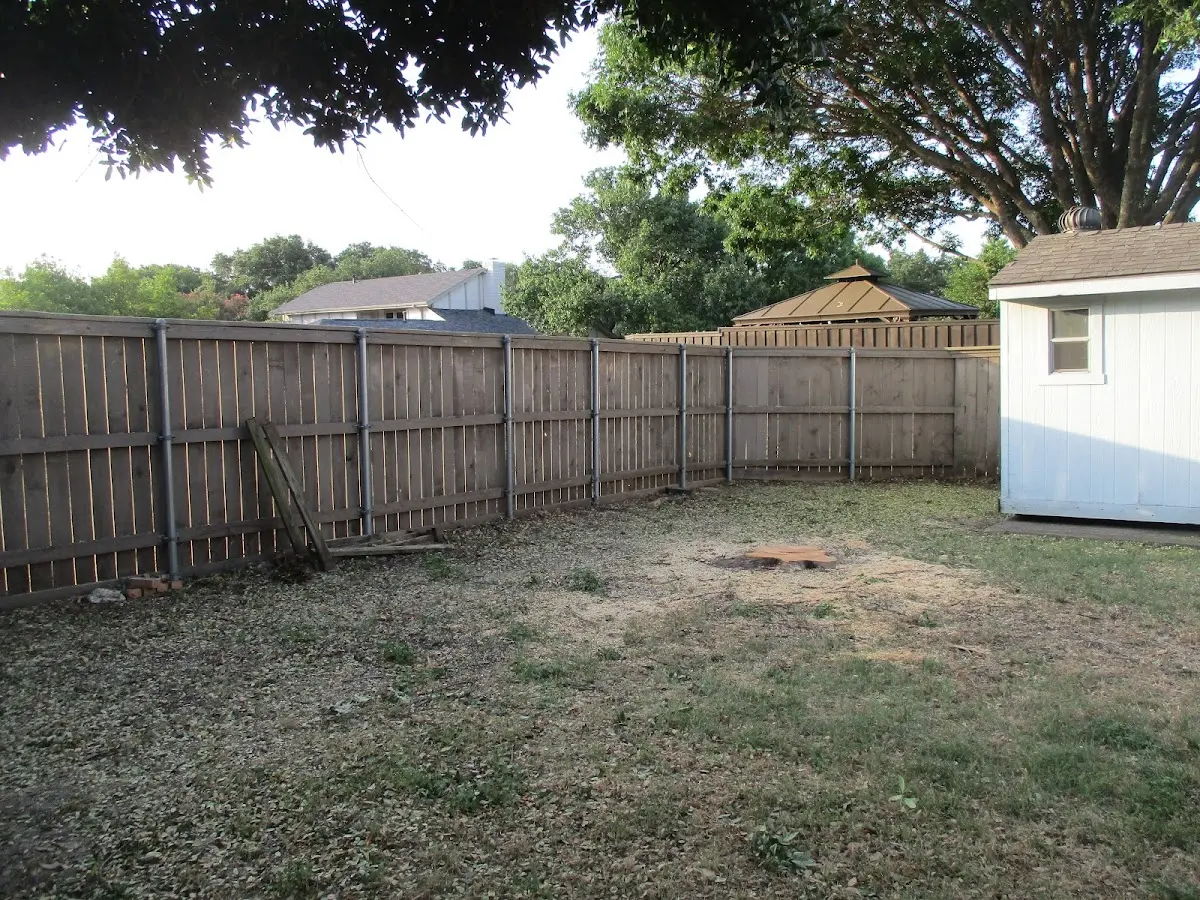 Cleared yard after professional tree removal in North San Juan