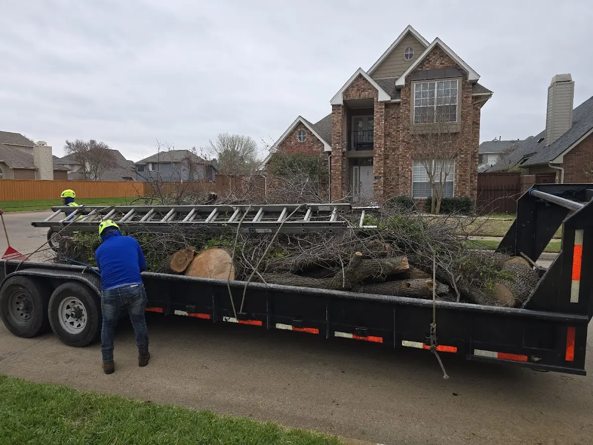 Expert Tree Fertilization with proper safety equipment in North San Juan